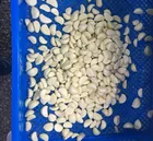 Peeled Garlic Garlic Peeled Garlic Chinese Wholesale Peeled Garlic