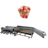 Fruit Roller Sorting Machine Rotary type grading machine