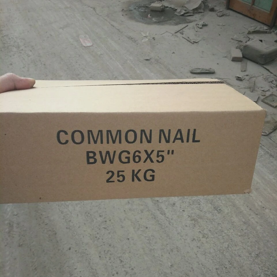 china common iron nails(polished)