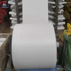 Wholesale quality raffia PP PE woven fabric roll
