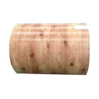 ASTMA36 hot rolled steel plate painted steel coil PPGI PPGL sheet metal for construction