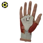 Human Anatomy Hand Model With Muscles Tendons Vessels Nervous 4 Parts