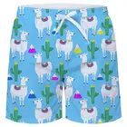 OEM fashion men's beach swim short/board swimwear