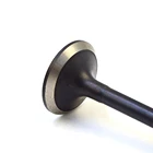 OEM manufacturer Engine intake and exhaust valve for GM auto engines OEM IN 12569583 EX 10210477