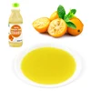 Frozen kumquat juice Milk tea ingredients Fresh fruit juice