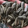 /product-detail/hot-sale-chinese-hulled-sunflower-seeds-363-361-62068891740.html