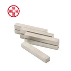 Permanent Magnet Super Strong Magnet SmCo Magnet