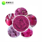Pure Natural Bulk Dehydrated Dragon Fruit Freeze Dried Powder Free Sample