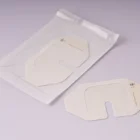 Medical Sterile Adhesive IV Catheter/IV Cannula Fixation Wound Dressing