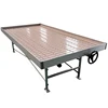 Hydroponics System Greenhouse Ebb and Flow Adjustable Flood Rolling Tray Tables for Sale