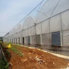 prefab steel structure multi-span agriculture greenhouse