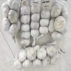 Garlic Garlic Garlic China Garlic