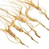 /product-detail/more-than-30-years-wild-ginseng-root-from-changbaishan-mountain-62102212916.html