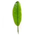 Dried Leaf Decorative Tree Artificial Plastic Dried Banana Leaf For Garden Decoration
