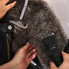 Widely Used Electric Pet Hair Trimmer, Pet Grooming Clippers Set