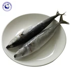 Chile Factory Direct Price Frozen Horse Mackerel Fish