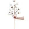 Faux Dried Cotton Stems Picks and Sprays