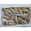 Factory hot sales best quality IQF small yellow croaker from China supplier