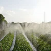 Hot sale Garden Water Plastic Material drip irrigation hose Micro Spray Irrigation PE Tape/ Hose