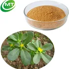 organic bacopa monnieri extract brahmi extract bacopa monnieri extract
