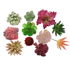 11 pcs Fake Succulents Plants Mini Artificial Succulent Unpotted Outdoor Home Decor Floral Arrangement