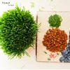 Beneficial To Cat Health Soilless Culture Cat Grass Planting Box