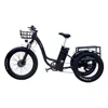/product-detail/best-selling-350w-500w-750w-three-wheel-fat-tire-bicycle-adults-electric-tricycle-62078837112.html