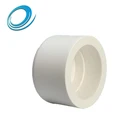 2.5 Inch 3 Inch 8 Inch Large Pipe Caps PPR Sewer Clean out Plastic End Cap