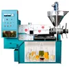 Custom-made neem oil extraction machine for cocoa bean, hemp seed, olive