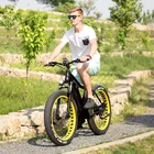 Customized Aluminum alloy 36V 48V 750W 1000W Long lasting Electric bike fat tire bicycle mtb