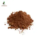 Cheap price natural cocoa powder