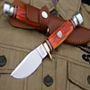 Outdoor military equipment Straight Knife 7.87" Fixed Blade Knife 5Cr13Mov Steel 58HRC Steel & Animal Bone Handel Hunting Knife