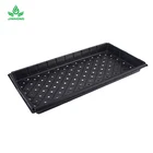 540*280*50MM Agriculture Black PS Seedling Tray Plastic Nursery Seed Germination Tray
