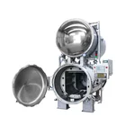 High efficiency pressure pot autoclave large capacity sterilizing machine industrial sterilizer