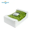 asparagus corrugated plastic packaging box