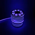 24V/100V/220V IP65 Waterproof Flexible Portable Led Tube Custom Neon Light