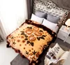 Russia bedroom 220*240 2ply printing mink blanket