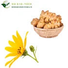 hight quality 100% natural organic Inulin Powder Manufacturer supply