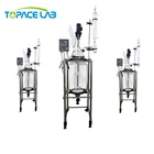 High Precision10L 20L 30L 50L Industrial Plug Flow Glass Batch Reactor Fixed Bed Reactor