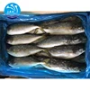 Fresh Fish Seafood Frozen Yellow Tail 400-1000g On Sale