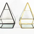Wholesale New Design and High Quality Pyramid Shaped Geometrical Glass Vase for Plant Moss