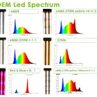 Led Led ETL Plant Commercial Module T5 120w 600w 300w Full Spectrum Led 6500K Grow Light Indoor Plant For Plant Growth