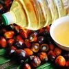 Refined Palm Oil from Malaysia Cheap Edible Palm Oil from Malaysia export to Saudi Arabia, Dubai, Indonesia, China etc