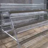 /product-detail/poultry-farming-equipment-a-type-layer-chicken-cage-with-automatic-system-for-sale-62106240120.html