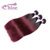 Chloe Durable Remy 1b Color 99j Straight Human Hair Prices For Brazilian Hair In Mozambique