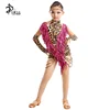 Tassel Latin Dance Dress Girls Salsa Leopard Dancing Children Latin Practice Wear Ballroom Dancing Dresses For Kids