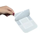 Detoxification Foot Patch, OEM service and wholesalers with own brand made in China