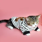 Cute Pet clothing clothes cute bear pattern cat clothes knitting patterns cat clothes