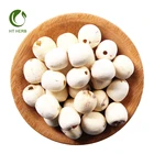 Chinese Medicine Herbs Water Lily Flower Seeds Dried White Lotus Seed