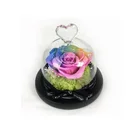Colorful 100% Real Enchanted Rose in crystal glass dome eternal rose preserved flower